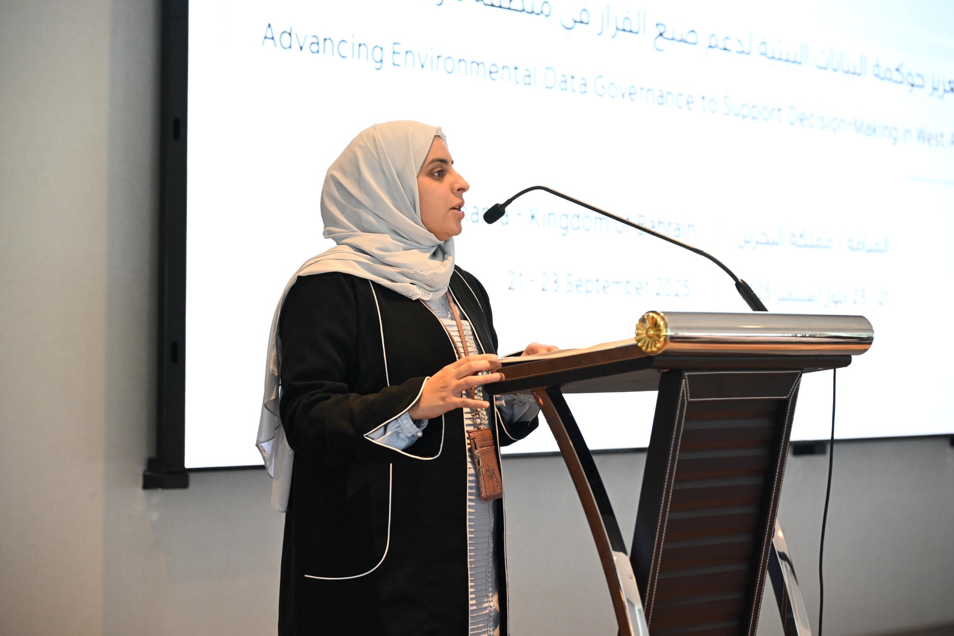 SCE hosts UNEP workshop on strengthening environmental data governance in West Asia